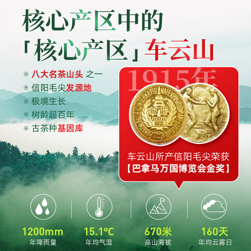 茶马世家信阳毛尖绿茶双罐装500g