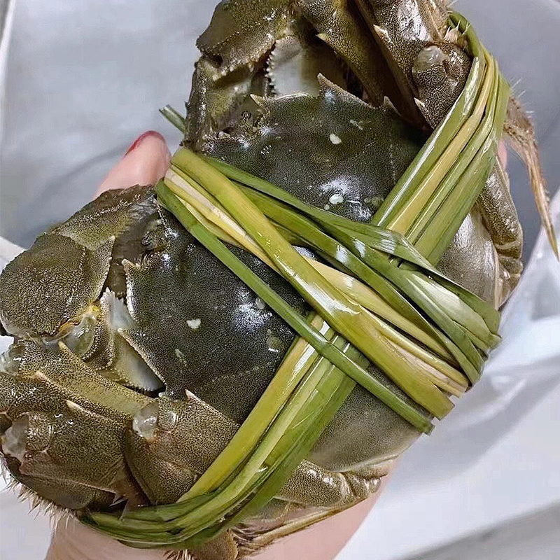 苏霸王大闸蟹2598型蟹卡