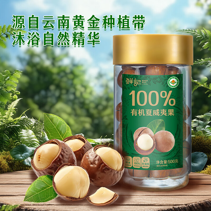 鲜记有机夏威夷果500g/罐