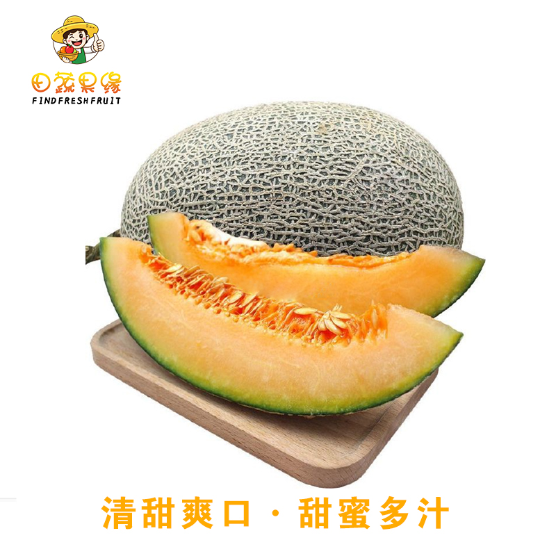 田蔬果缘哈密瓜系列
