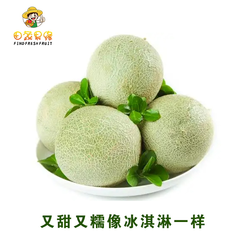 田蔬果缘玫珑瓜系列