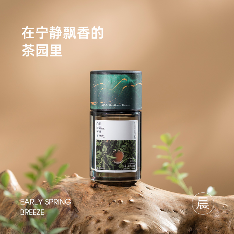 乔氏（Qiaoshi）熏风香薰115028