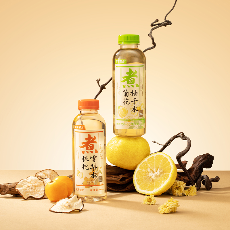 可可满分中式茶饮礼盒500ml*10瓶 （枇杷雪梨5瓶+菊花柚子5瓶）ZL