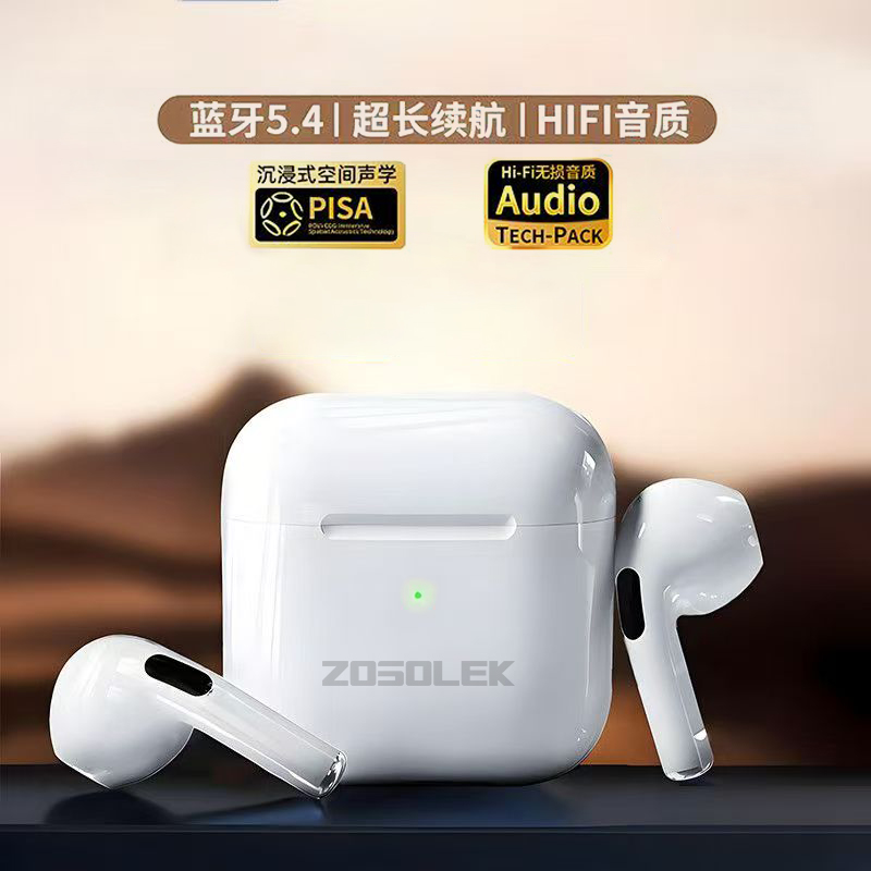 致尚丽和ZOSOLEK真无线蓝牙耳机E001